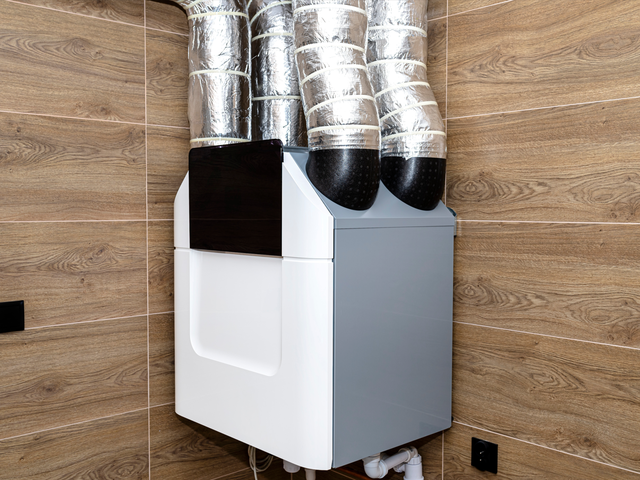 shutterstock_2129607953