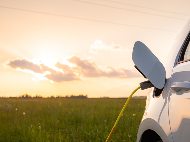 shutterstock_2027277722