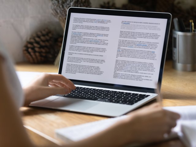 softwareontwikkelaar